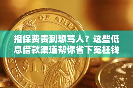 济南担保费贵到想骂人？这些低息借款渠道帮你省下冤枉钱