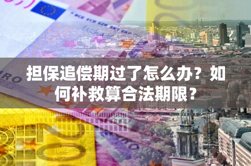 济南担保追偿期过了怎么办？如何补救算合法期限？