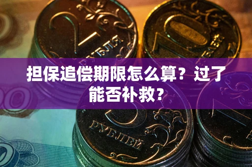济南担保追偿期限怎么算？过了能否补救？